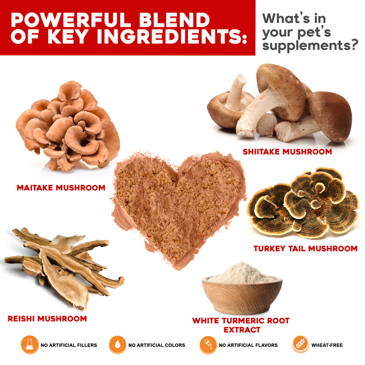 Combination: Critical Immune Defense & Probiotic Nutrient Enhancer
