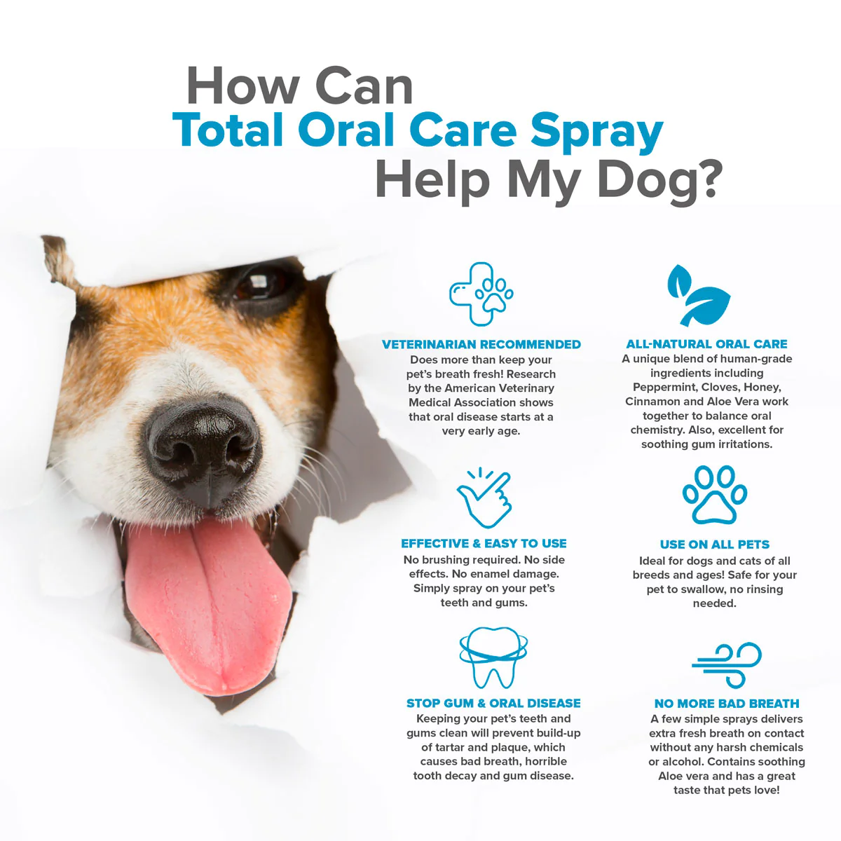 Total Oral Care Spray
