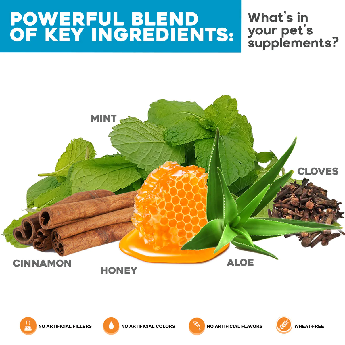 Combination: Critical Immune Defense & Probiotic Nutrient Enhancer