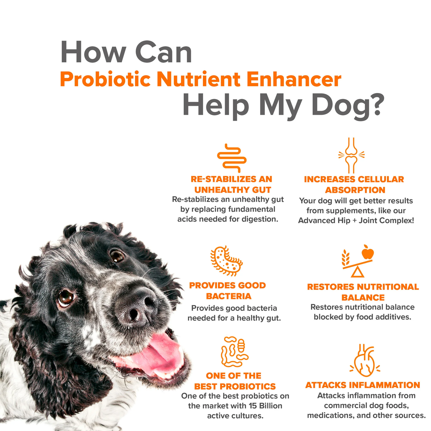 Combination: Advanced Hip & Joint, Probiotic, Oral Care