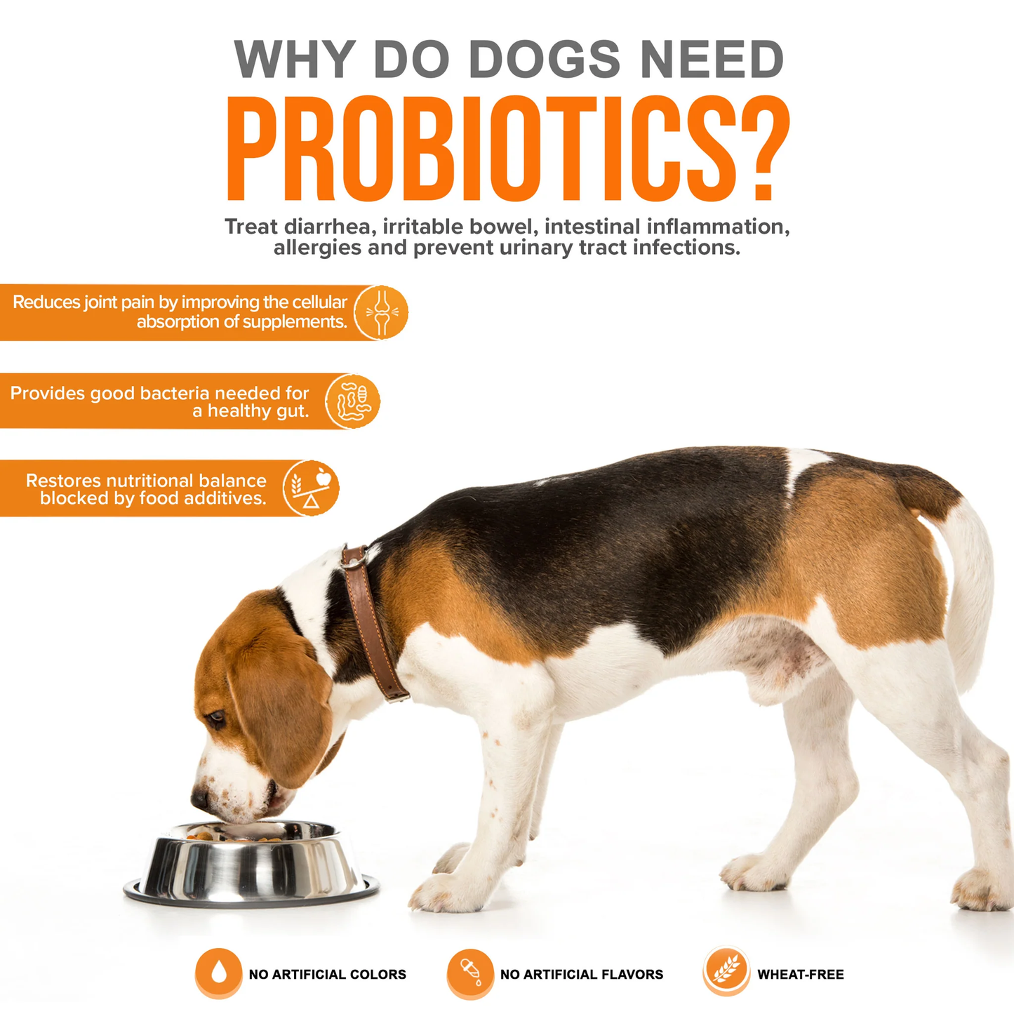 Combination: Critical Immune, Advance Hip & Joint, Probiotic